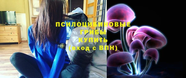 бошки Алзамай