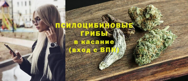 круглые Алексеевка