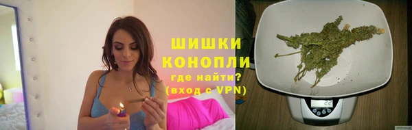 бошки Алзамай
