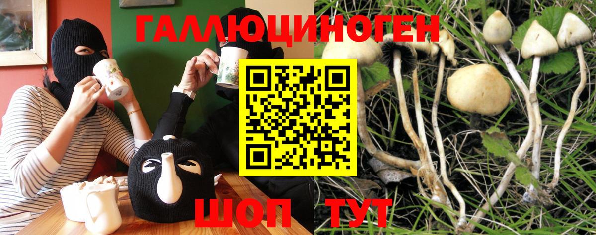Сосновый Бор  продажа наркотиков  Вход с VPN  Галлюциногенные грибы MAGIC MUSHROOMS 